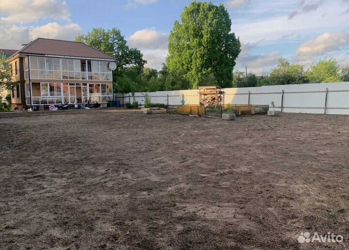 Семена газона DLF THE 1 универсальный