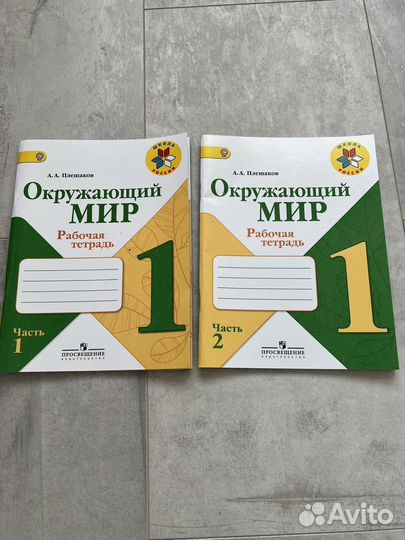 Новая Рабочая тетрадь 1 класс