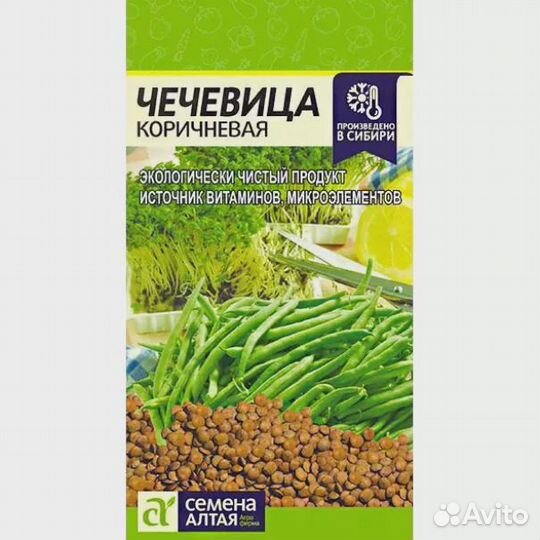 Чечевица Коричневая