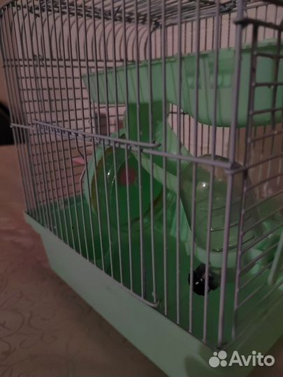 Клетка для хомяка бу