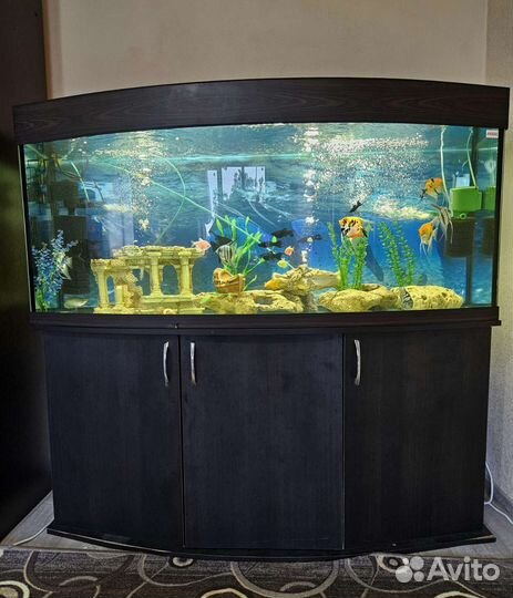 Аквариум рыбки 400 литров