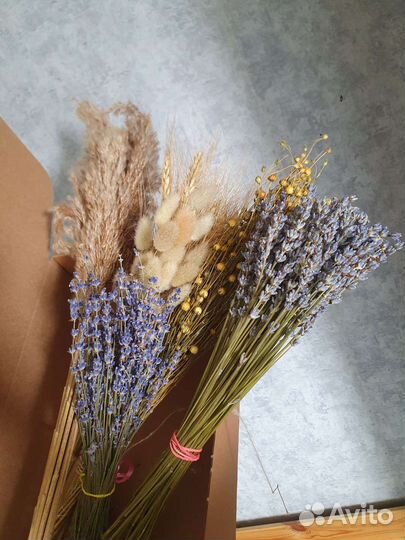 Букет сухоцветов (в ассортименте)