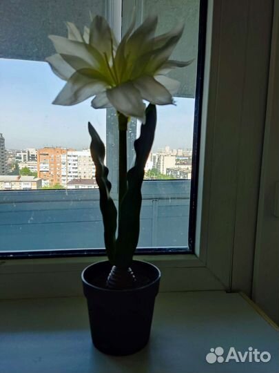 Цветы искусственные икеа