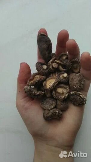 Шиитаке сушеные опт