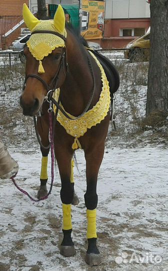 Амуниция для лошадей ручной работы