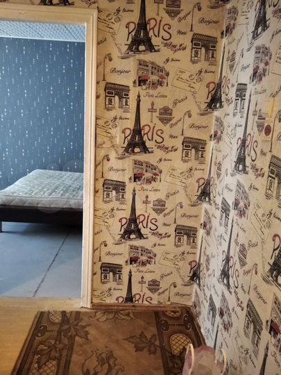 1-к. квартира, 30,1 м², 1/5 эт.