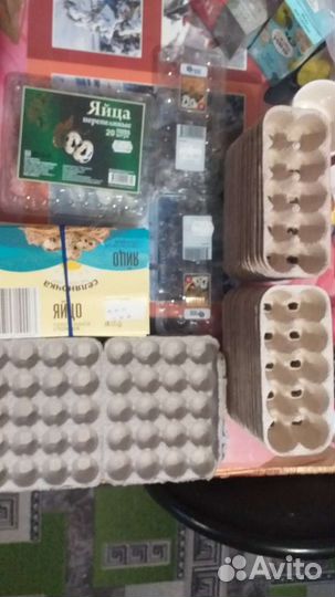 Лотки для перепелиных яиц