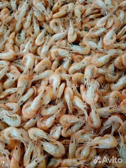 Креветка азовская с доставкой