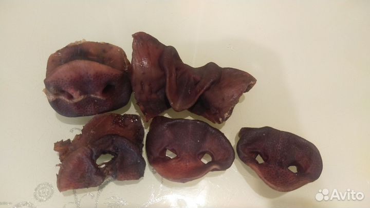 Лакомства для собак