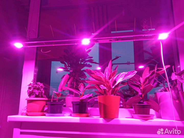Фитолампа для растений полный спектр
