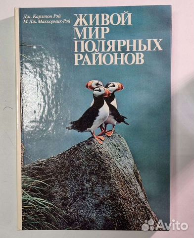 Животный мир полярных районов