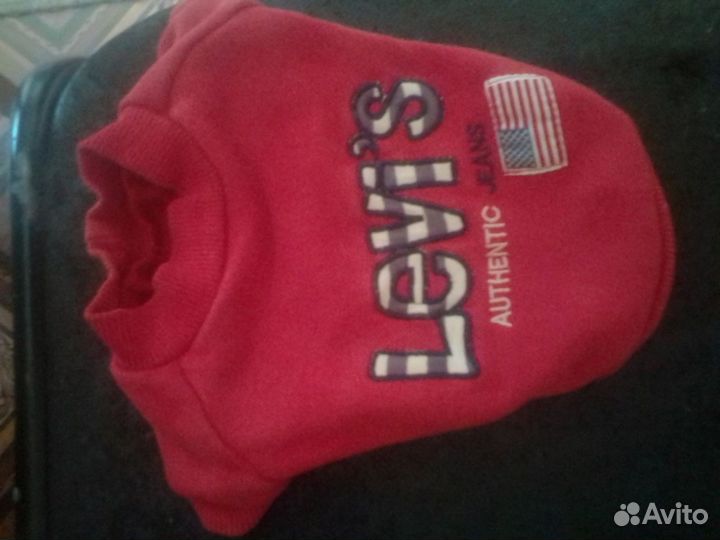 Одежда для собак мелких пород