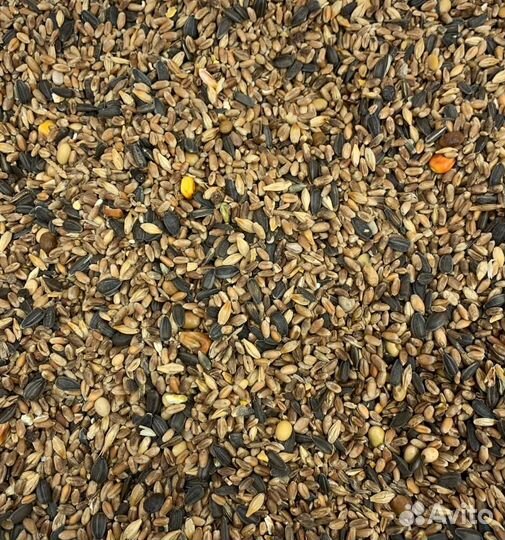 Зерносмесь премиум цельная
