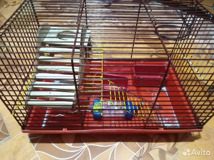 Клетка для грызунов
