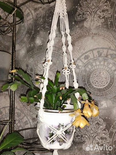 Кашпо подвесное макраме