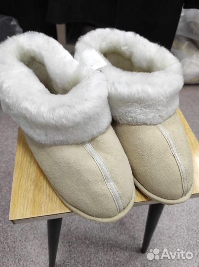 Шубенки домашние