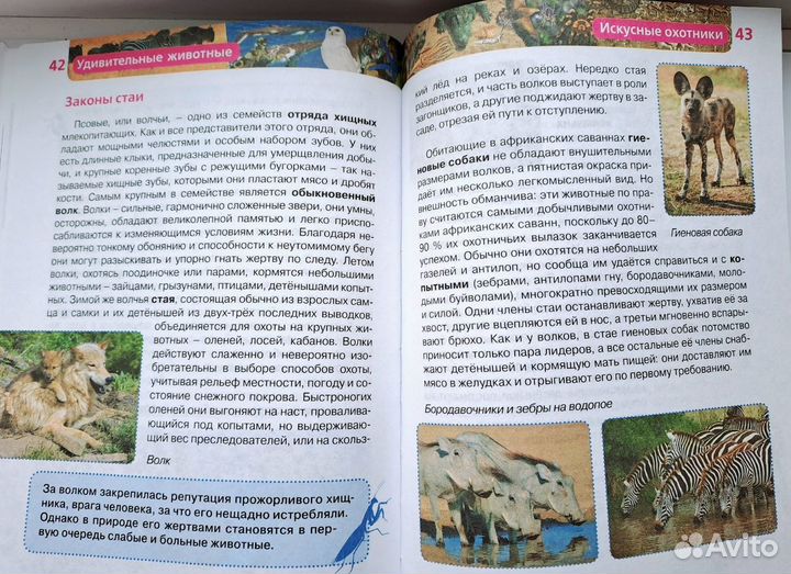 Детские энциклопедии Росмэн