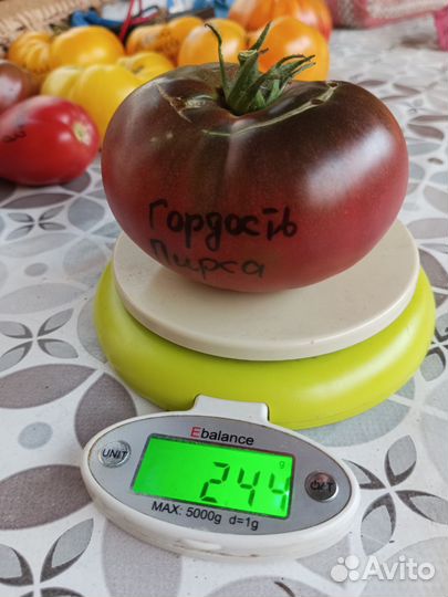 Семена томатов