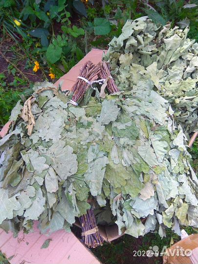 Банные веники