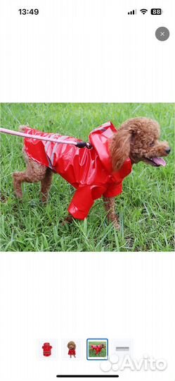 Дождевик для собаки