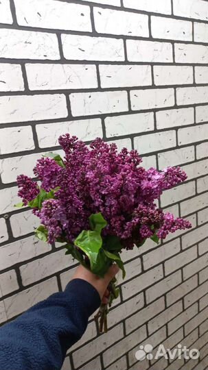 Сирень букет цветов доставка букета