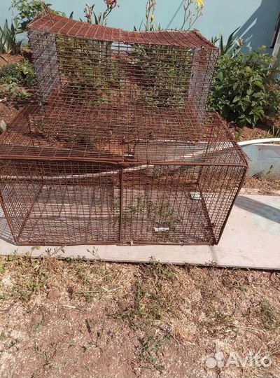 Клетки для птиц
