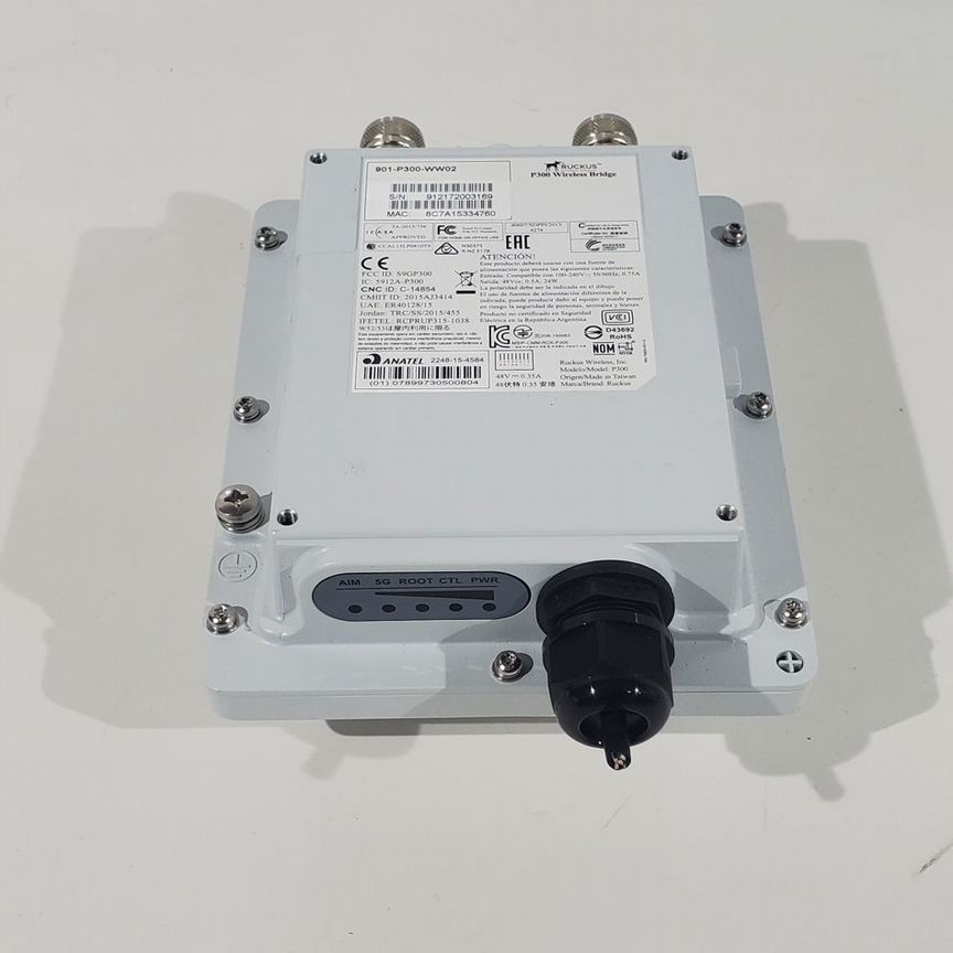 [901-P300-WW02] Радиомост Ruckus P300 ( ) 901-P300-Ww02