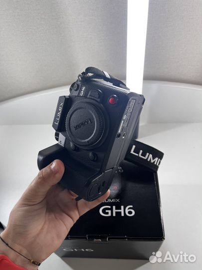 Panasonic gh6
