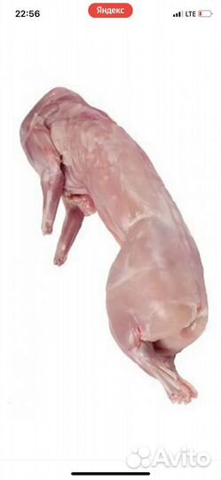 Мясо кролика цена за 1 кг