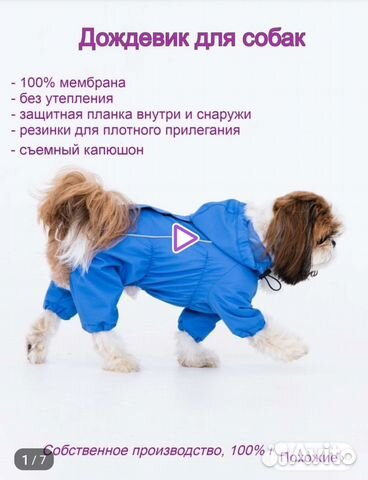 Одежда для собак