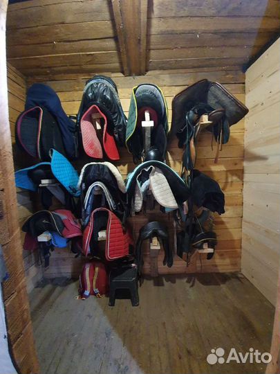 Постой лошадей в спб