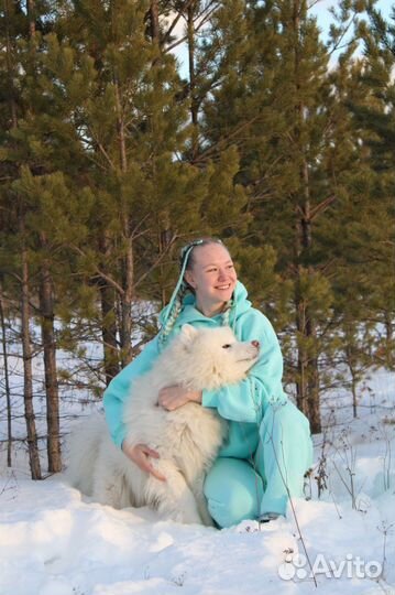 Передержка собак/кошек, зооняня, выгул