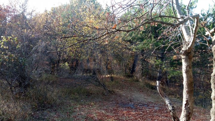 Участок 14 сот. (ИЖС)