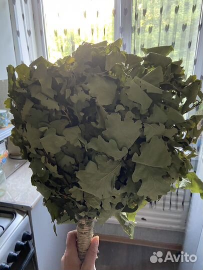 Дубовые веники для бани