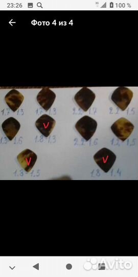 Медиатор из панциря