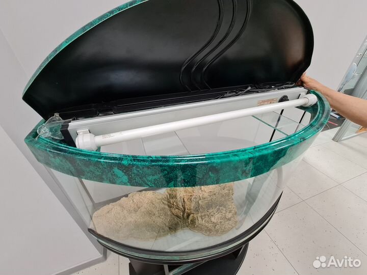 Аквариумы с панорамным стеклом