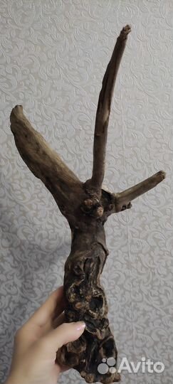 Дрифтвуд коряга для декора, интерьера