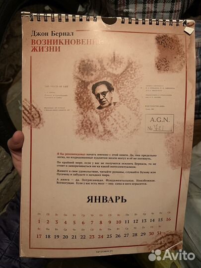 Сувенирный календарь развития Невзорова