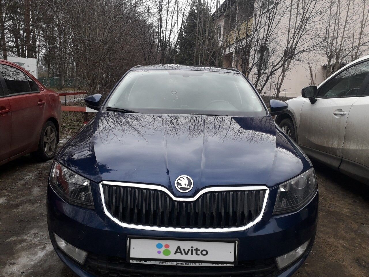 Skoda Octavia: фото владельца