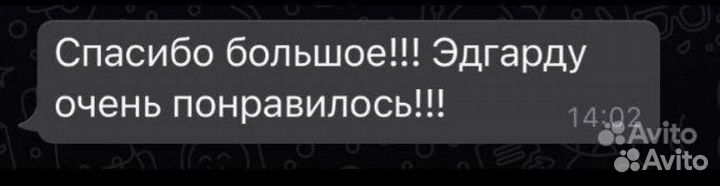 Репетитор по английскому языку