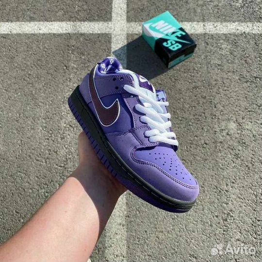 Кеды SB Dunk Low Pro OG QS Concepts/Purple Lobster