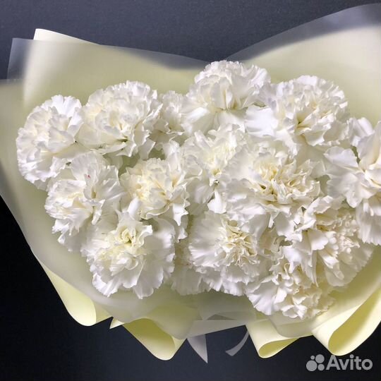 Доставка 46-10-00. Букет из 15 белых диантусов