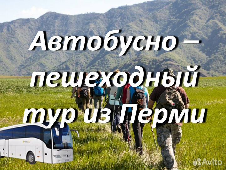 10.ноя.23 Камень Помяненный (Колчимский) /цо3257