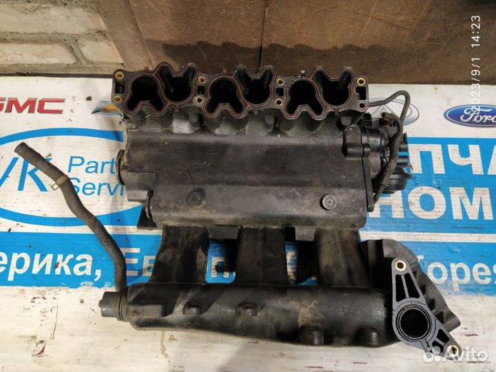 Коллектор впускной Nissan Maxima 00-06