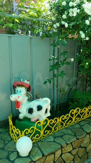 Комната 20 м² в 1-к., 1/2 эт.