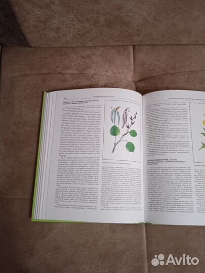 Сборник лекарственных растений