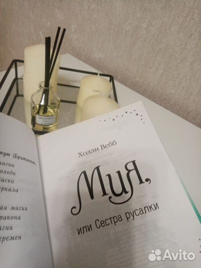 Детская книга холли вебб