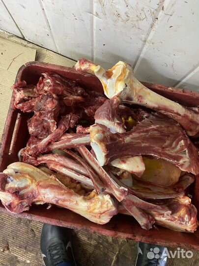 Кости говяжьи 30 р/1кг