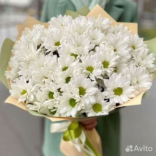 Хризантема. Букеты Цветы доставка