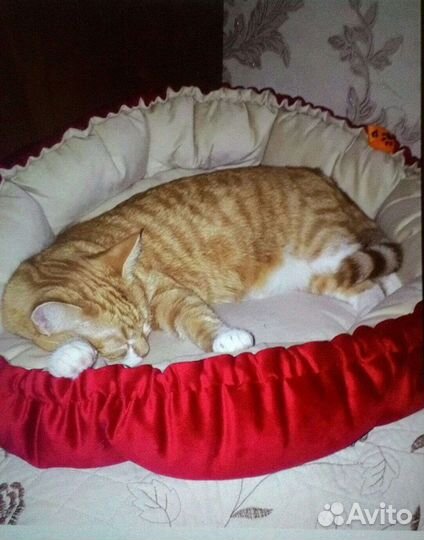 Лежанка для собак и кошек